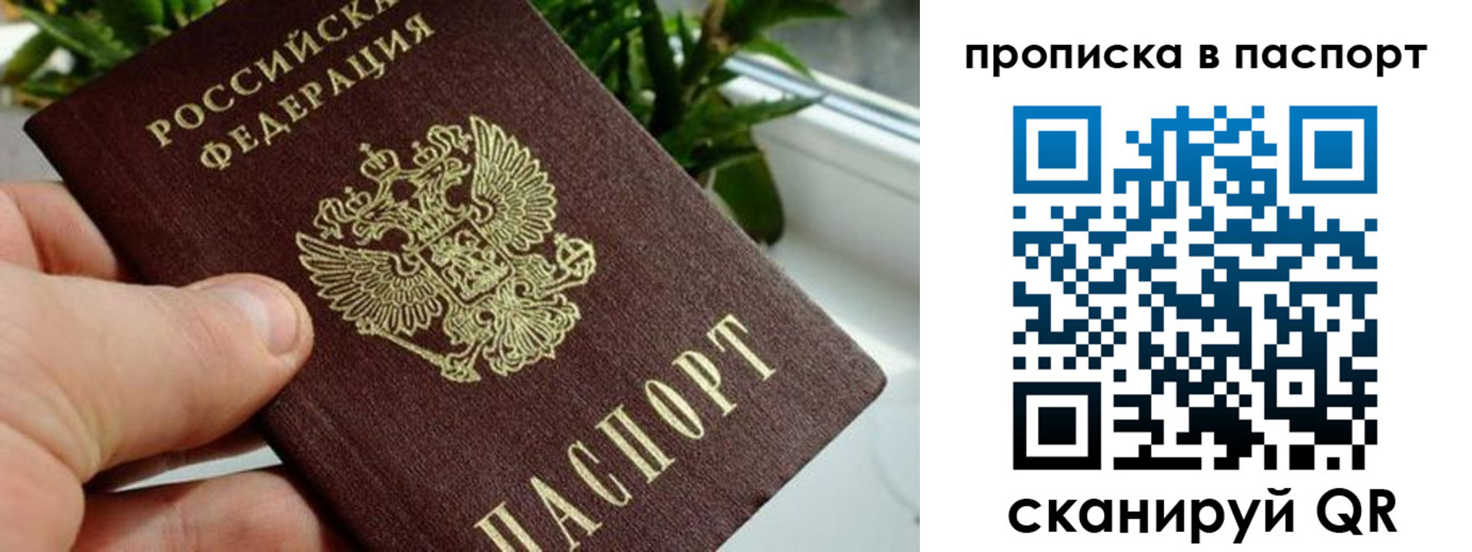 пропишу в квартире в Луге